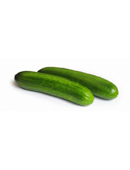 Огірок гладкий  ваговий Уманський тепличний комбінат
