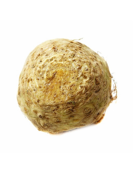 Селера корінь