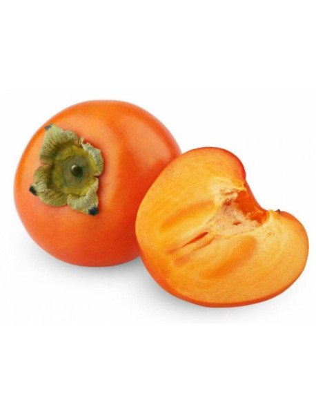 Хурма  ШАРОН ваг.