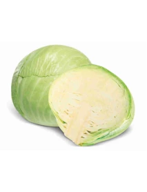 Капуста білокочанна 